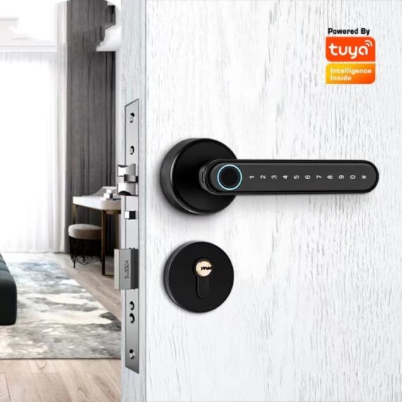 R3 fingerprint door lock