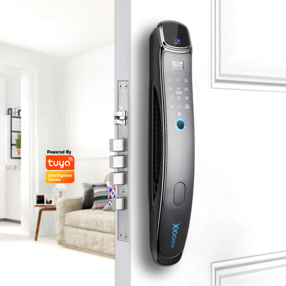 DF500 Smart door with face