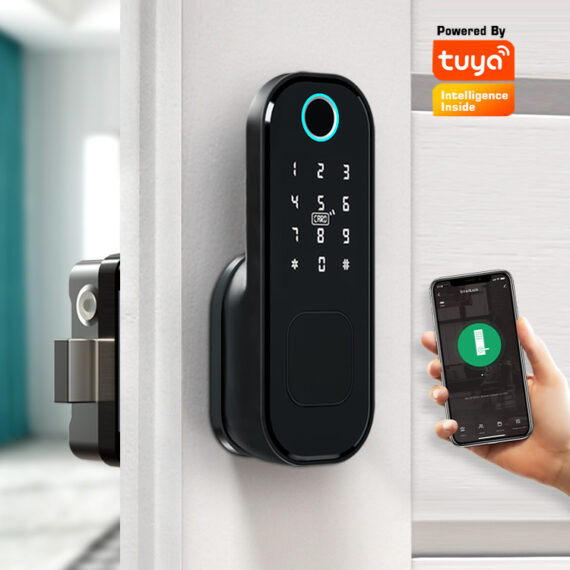 R2-S TUYA smart deadlock