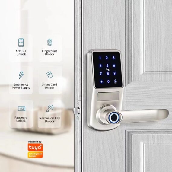 Smart lock with handle N1