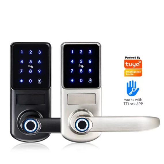 Smart lock with handle N1