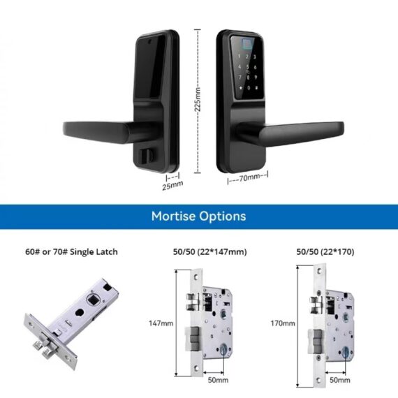 Smart lock with handle N2